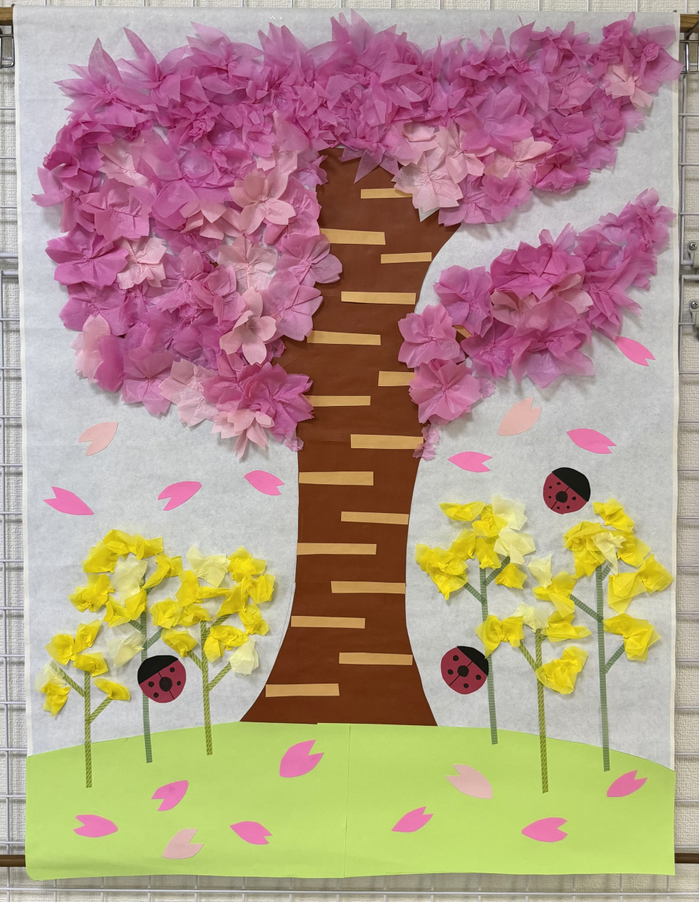 ピッカピカの春