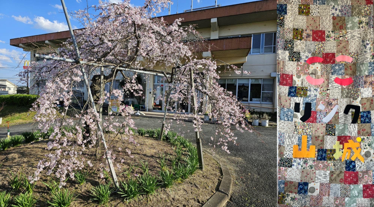 桜の木とタペストリー